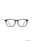 INTHINITI® QUEST Gold | Tortoise